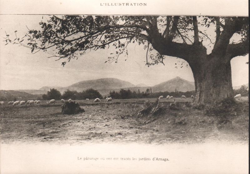 Le plateau découvert par Edmond Rostand